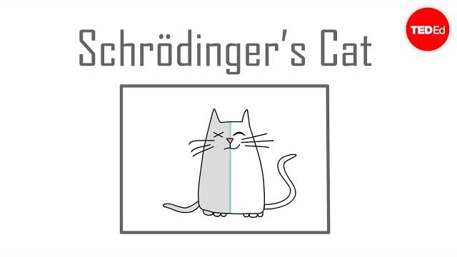 Schrodingers cat